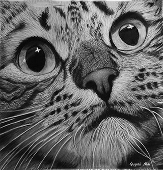 Portrait Animal 2