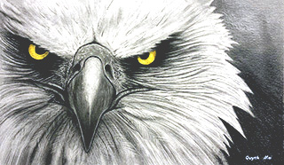 Portrait Animal 6