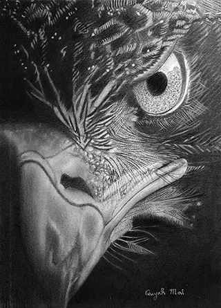 Portrait Animal 9